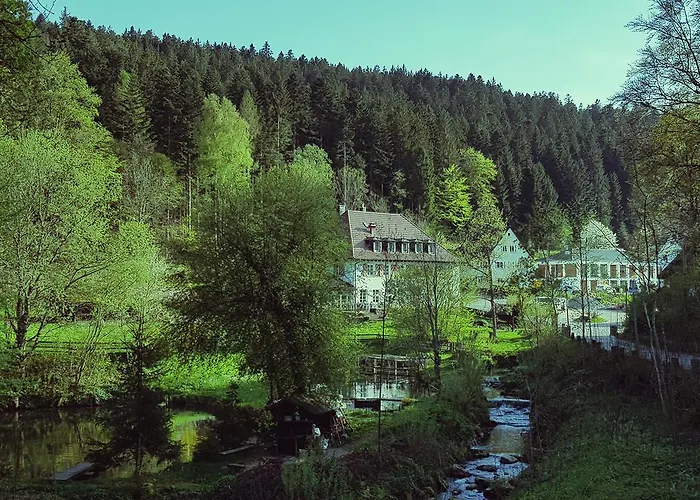 Gut Lauterbad Hotel Freudenstadt